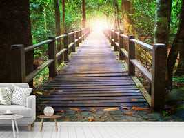 photo-wallpaper-the-bridge-in-the-forest