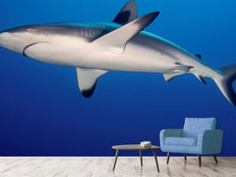 photo-wallpaper-shark-in-the-dark-sea