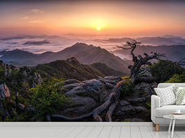 photo-wallpaper-sunrise-on-top-x