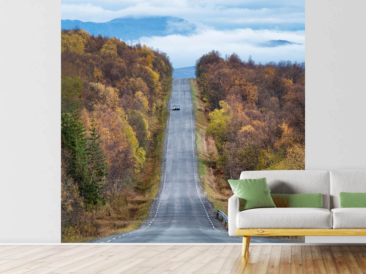 photo-wallpaper-on-the-road-again