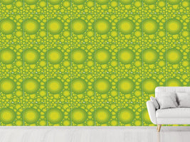 patterned-wallpaper-citrus-circles