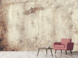 photo-wallpaper-shabby-chic-wall-ii