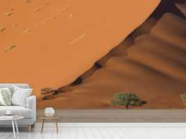 photo-wallpaper-dune-y