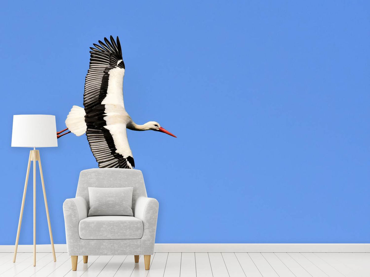 photo-wallpaper-the-stork-in-action