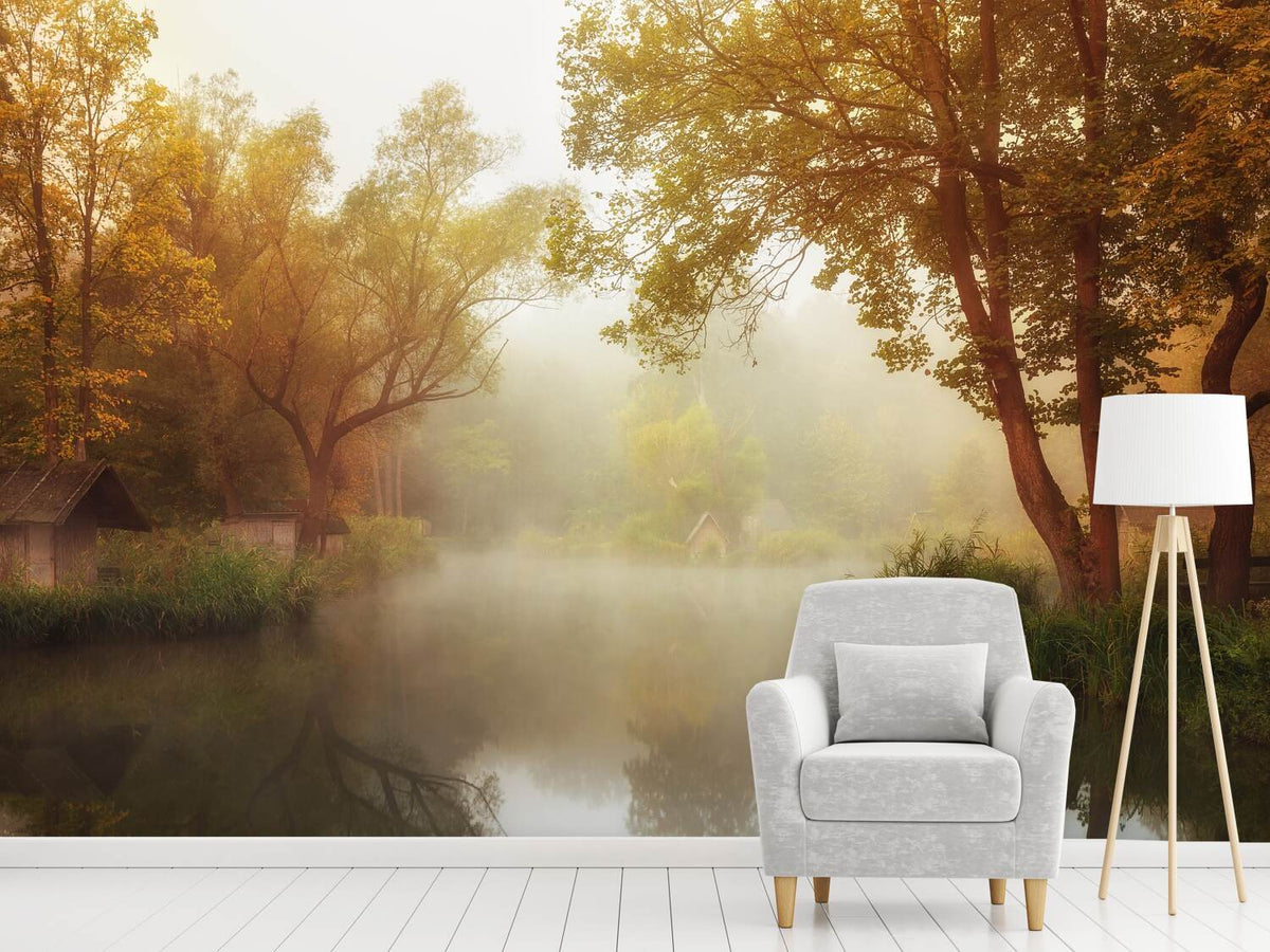 photo-wallpaper-foggy-autumn-x