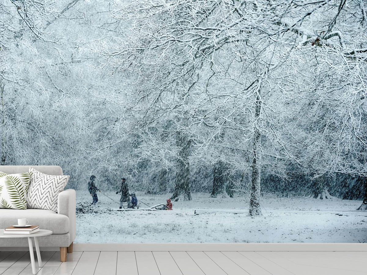 photo-wallpaper-winter-dream