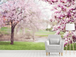 photo-wallpaper-beautiful-magnolias