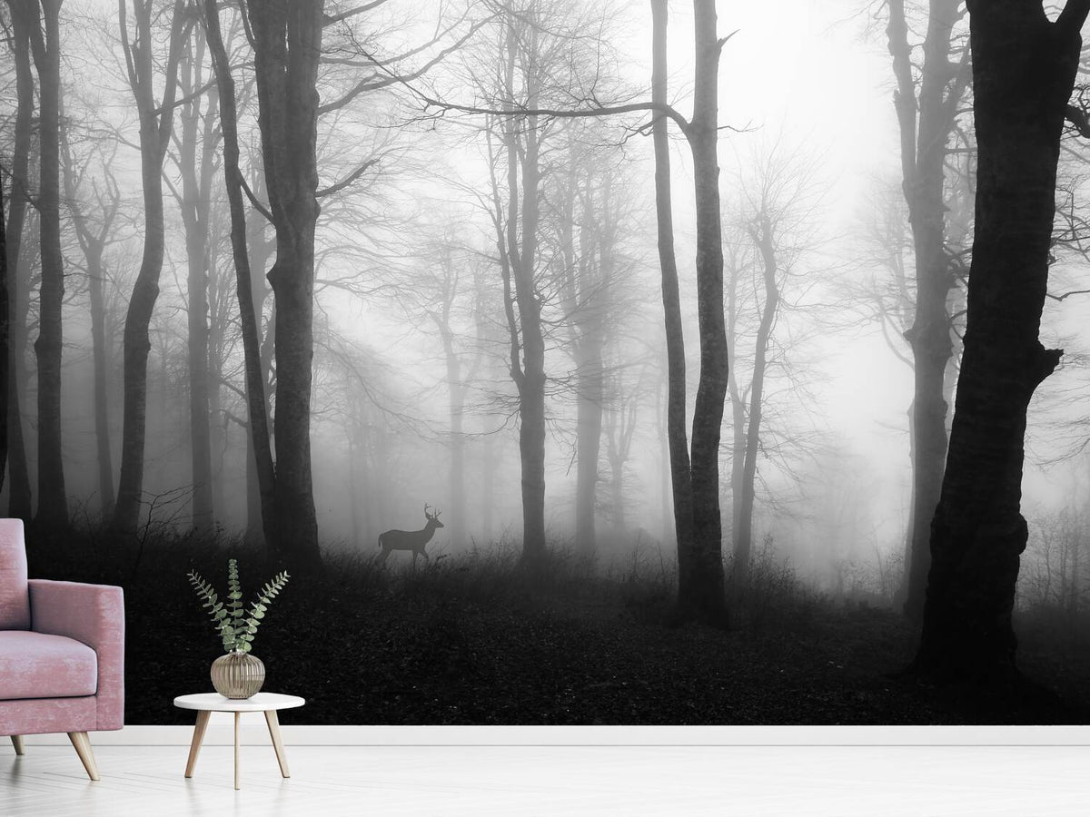 photo-wallpaper-forest-xue