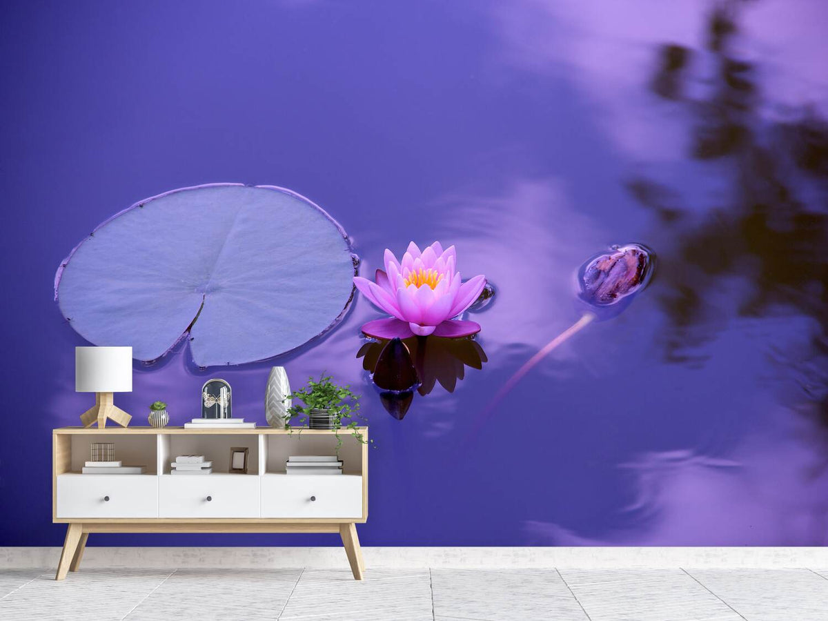 photo-wallpaper-lotus-flower