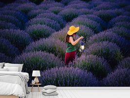 photo-wallpaper-lavender