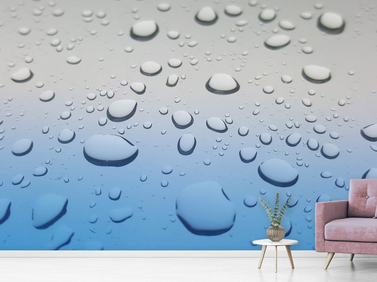 photo-wallpaper-raindrop-in-xxl