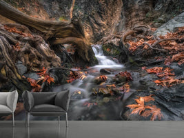 photo-wallpaper-autumn-cascade-x