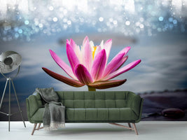 photo-wallpaper-lotus-in-the-morning-dew