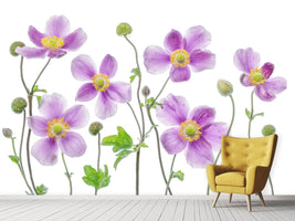 photo-wallpaper-anemone-japonica-x