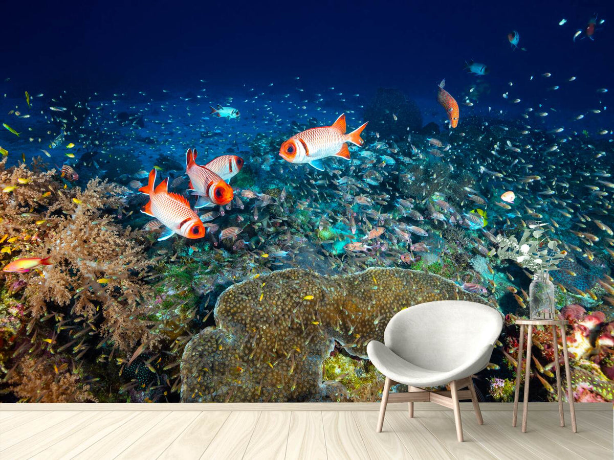 photo-wallpaper-reef-lifeii