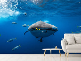 photo-wallpaper-under-the-waves