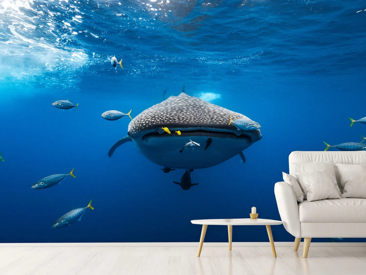 photo-wallpaper-under-the-waves