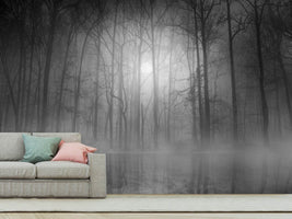 photo-wallpaper-morning-mist-ii