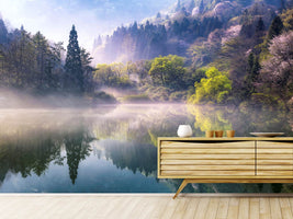 photo-wallpaper-morning-calm