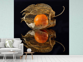 photo-wallpaper-physalis