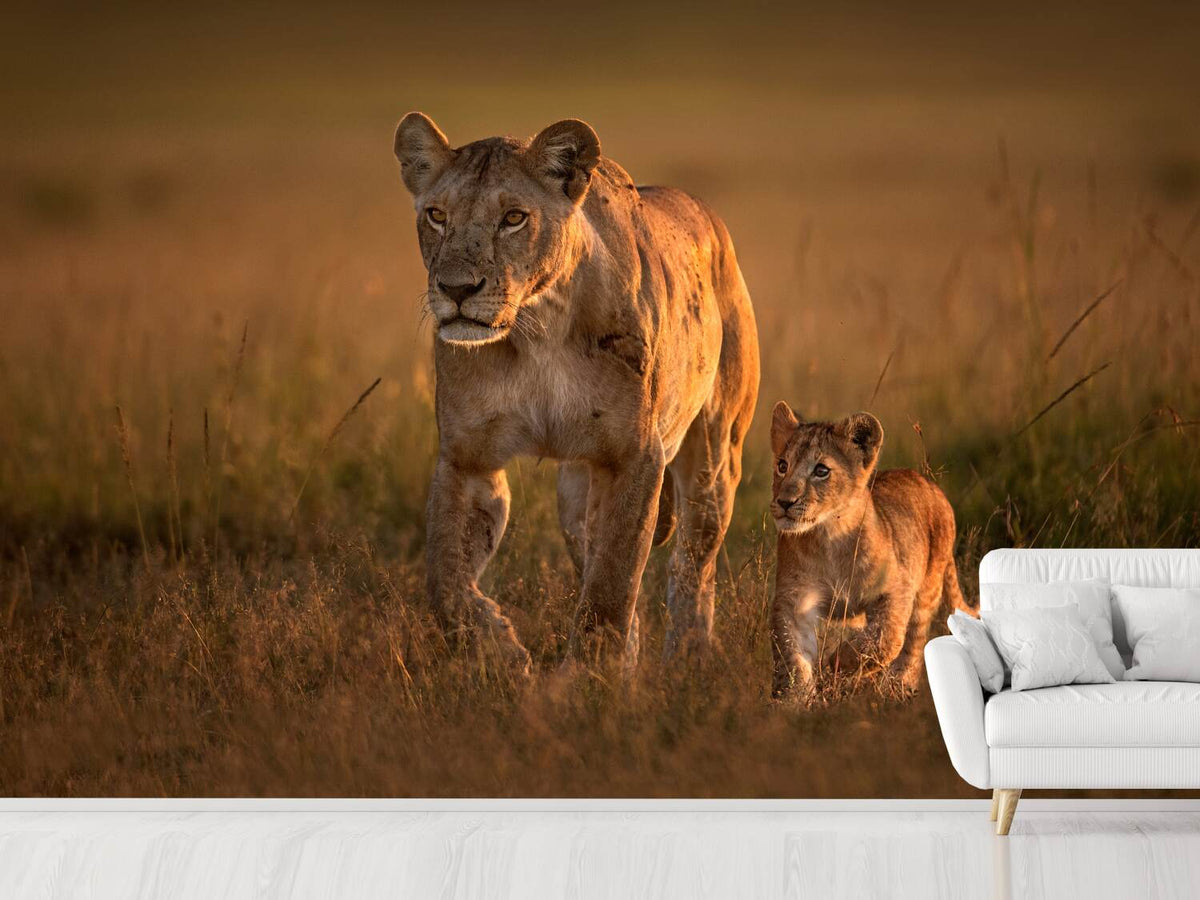 photo-wallpaper-mom-lioness-with-cub-x