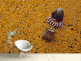 photo-wallpaper-corn