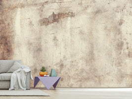 photo-wallpaper-shabby-chic-wall-ii