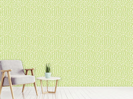 patterned-wallpaper-kiwi-star