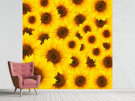 photo-wallpaper-a-bouquet-sunflower