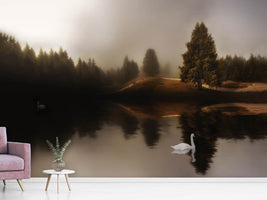 photo-wallpaper-swan-lake-xod