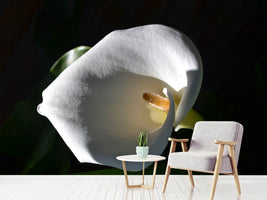 photo-wallpaper-wonderful-calla