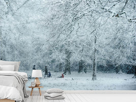 photo-wallpaper-winter-dream