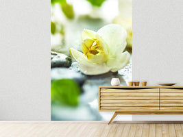 photo-wallpaper-zen-orchid