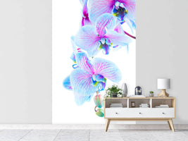 photo-wallpaper-orchid-butterfly