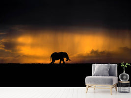 photo-wallpaper-elephant-in-a-rain-storm-at-sunset-x