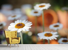 photo-wallpaper-daisies-xl