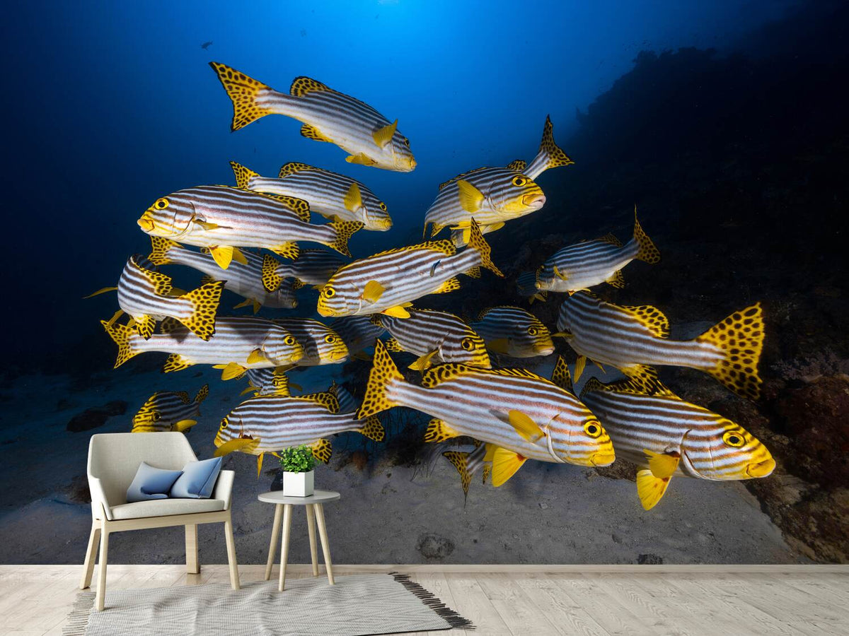 photo-wallpaper-fish-in-the-dance-of-the-waves