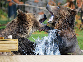 photo-wallpaper-grizzly-fight