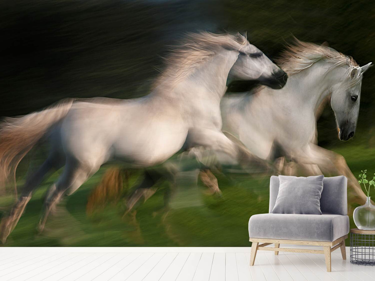 photo-wallpaper-gallop-for-two