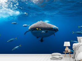 photo-wallpaper-under-the-waves