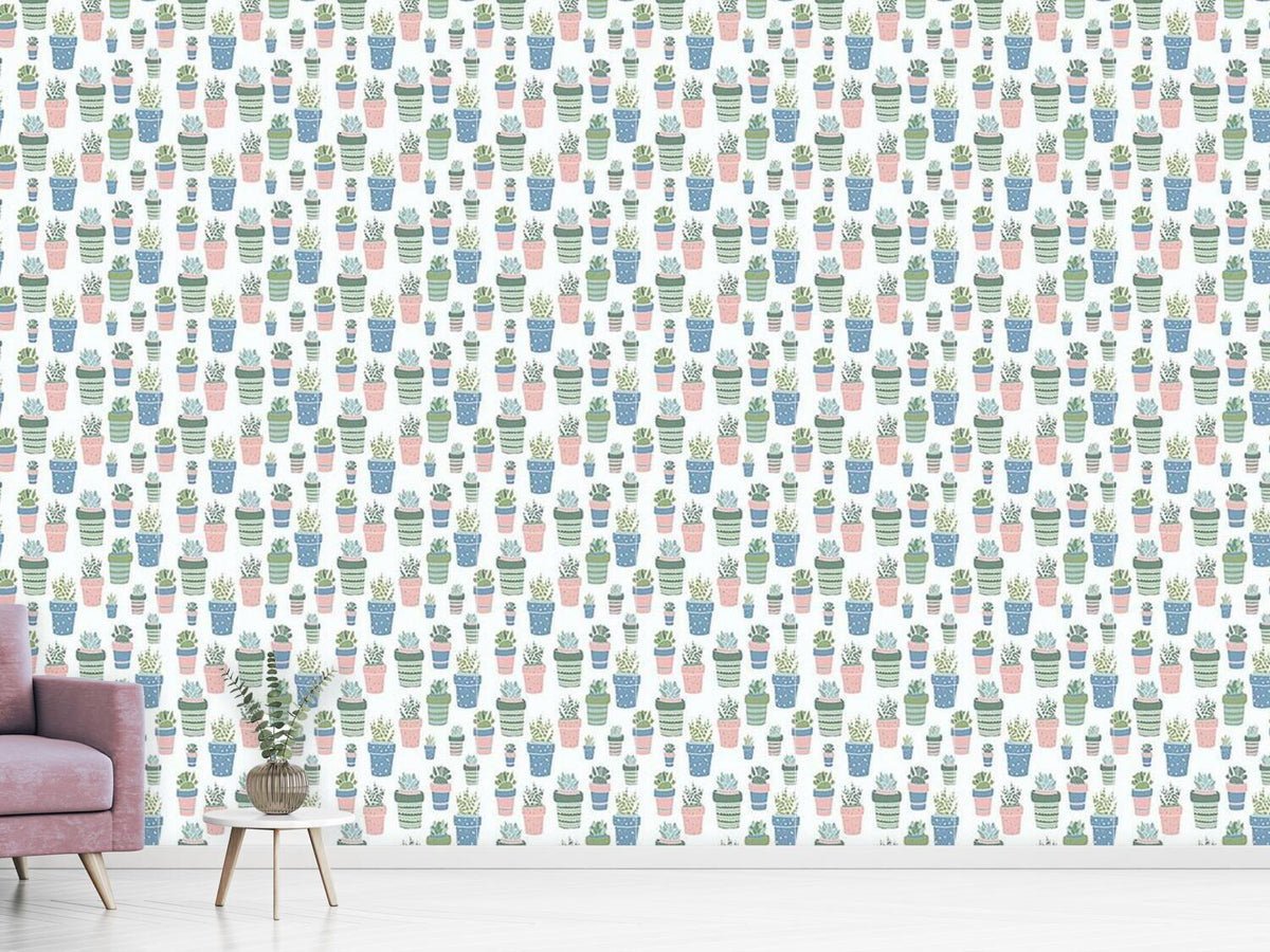 patterned-wallpaper-succulent-pots