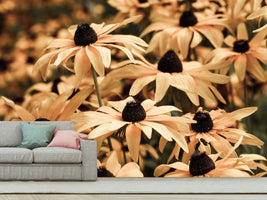 photo-wallpaper-daisies-in-sepia