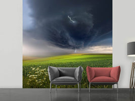 photo-wallpaper-june-storm