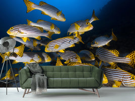photo-wallpaper-fish-in-the-dance-of-the-waves