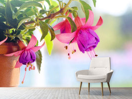 photo-wallpaper-the-fuchsias