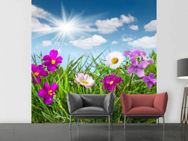 photo-wallpaper-flowering-meadow