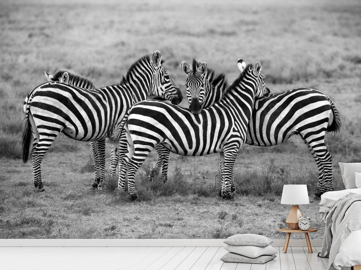 photo-wallpaper-stripes-xoh