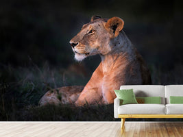 photo-wallpaper-lone-lioness-x