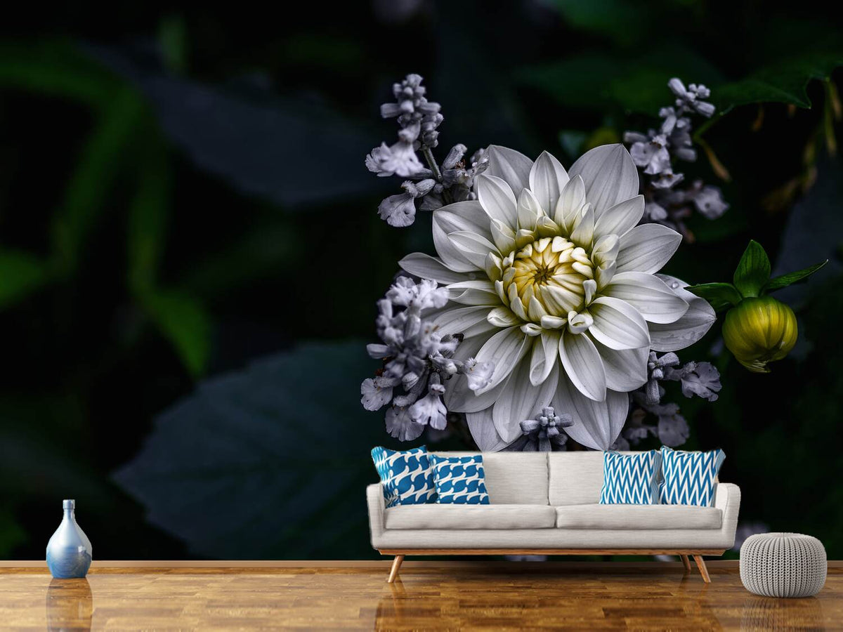 photo-wallpaper-dahlia-flower