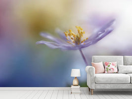 photo-wallpaper-springtime-watercolor